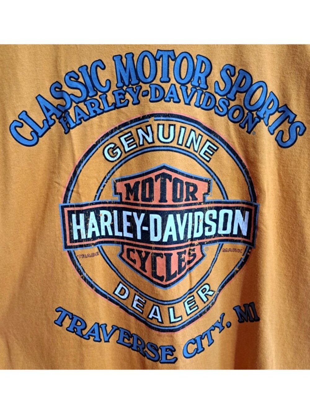 Harley-Davidson Men's L Short Sleeve Orange T-Shirt Traverse City MI